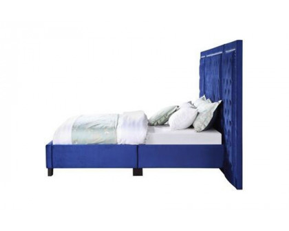 ACME Damazy Bed - Blue Velvet, Eastern King Size