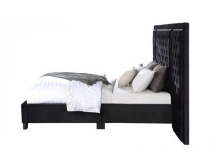 ACME Damazy Bed - Black Velvet, Eastern King Size