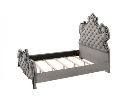 ACME Perine Queen Bed - Gray Velvet