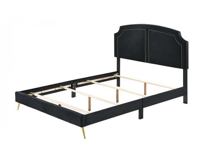 ACME Zeena Queen Bed - Black Velvet