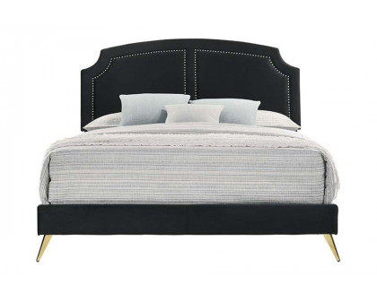 ACME - Zeena Bed