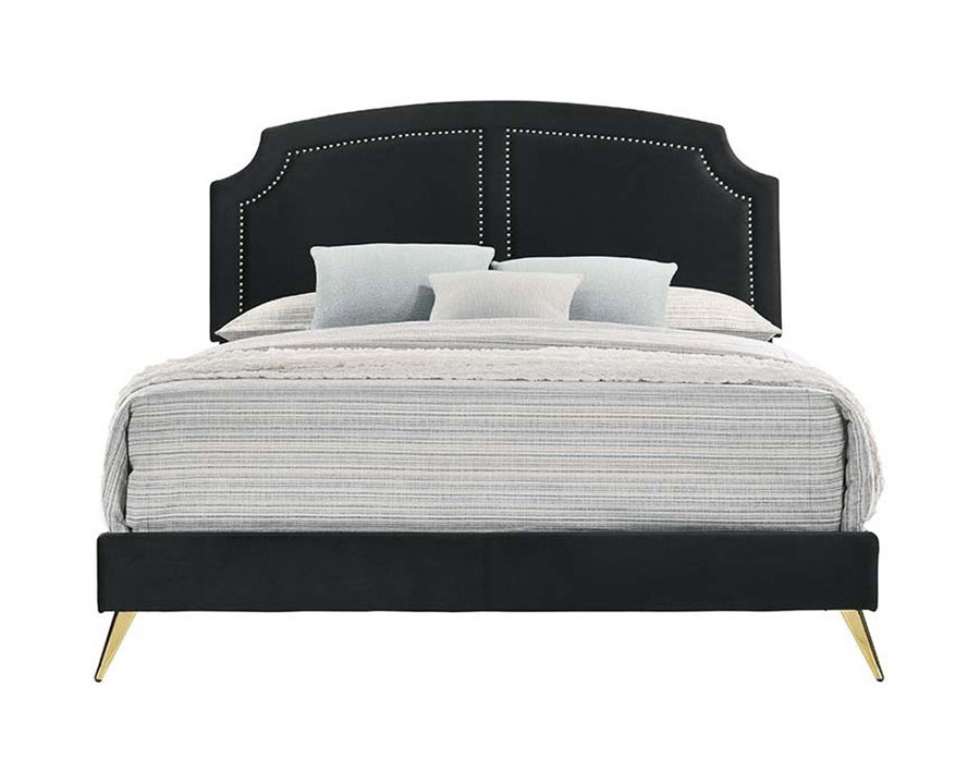 ACME Zeena Queen Bed - Black Velvet