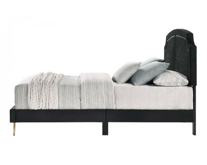 ACME Zeena Queen Bed - Black Velvet