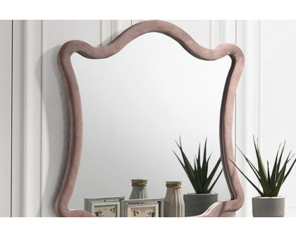 ACME - Salonia Mirror in Pink