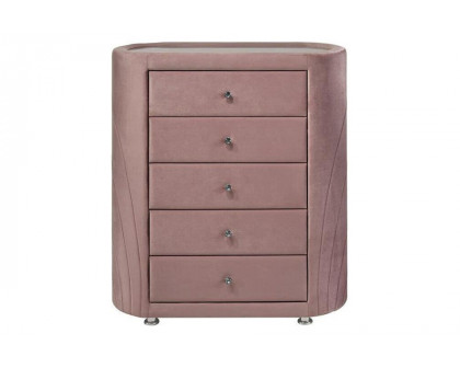 ACME - Salonia Chest in Pink