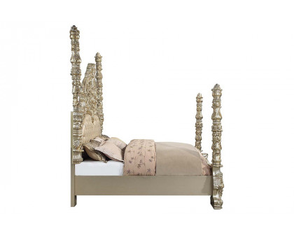 ACME - Danae EK Bed in Champagne/Gold