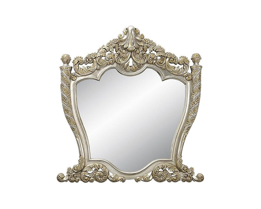 ACME - Danae Mirror in Champagne/Gold