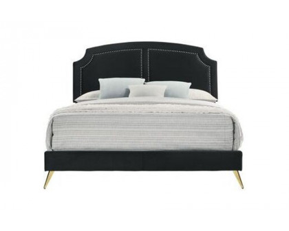 ACME - Zeena Bed