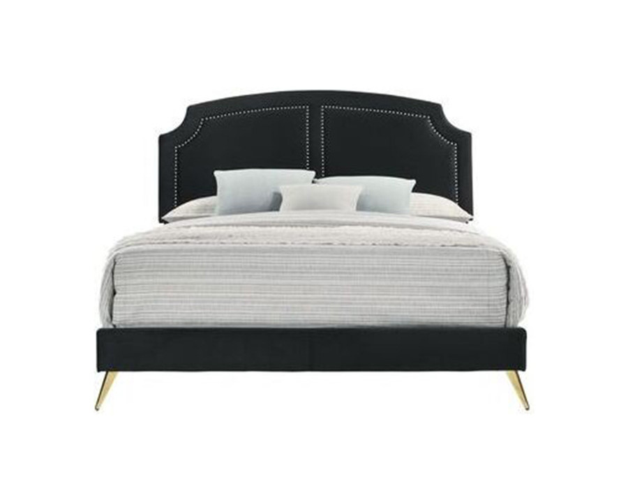 ACME Zeena Eastern King Bed - Black Velvet