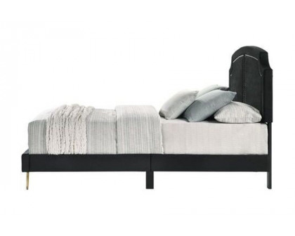 ACME Zeena Eastern King Bed - Black Velvet