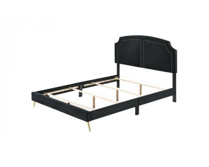 ACME Zeena Eastern King Bed - Black Velvet