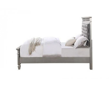 ACME Varian Bed - Gray Velvet and Silver, Full Size