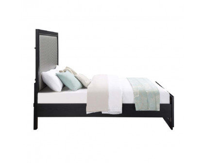 ACME Nicola Queen Bed - Silver/Black