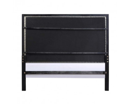 ACME Nicola Queen Bed - Silver/Black