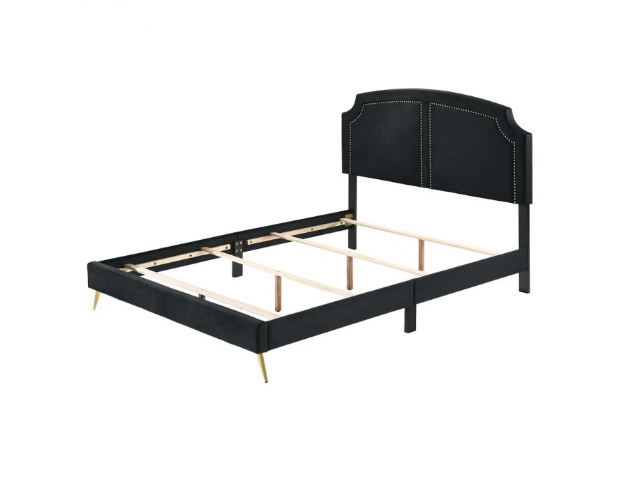 ACME - Zeena Bed