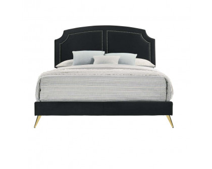 ACME - Zeena Bed