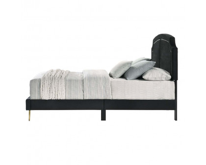 ACME Zeena Full Bed - Black Velvet