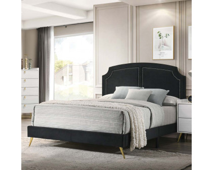 ACME Zeena Full Bed - Black Velvet