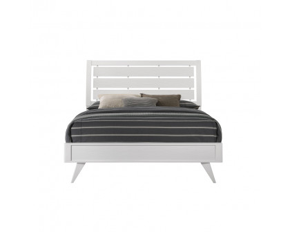 ACME Cerys Queen Bed - White