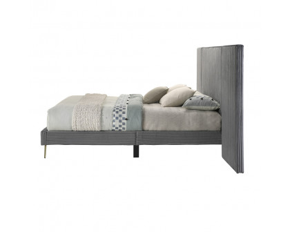 ACME Muilee Ek Wall Bed - Gray