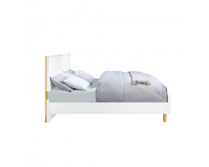 ACME Gaines CK Bed - White High Gloss