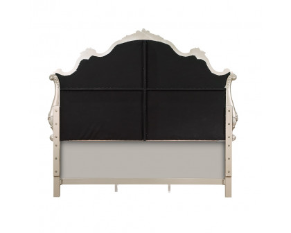 ACME Bently Queen Bed - Champagne