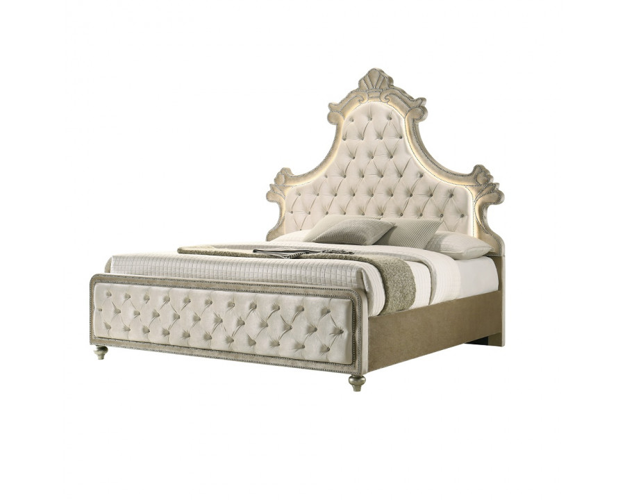 ACME Lucienne EK Bed with Led - Beige Velvet