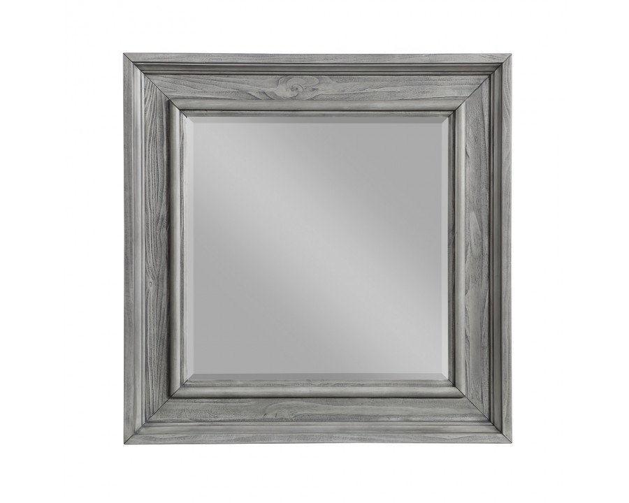 ACME - Veda Mirror in Gray