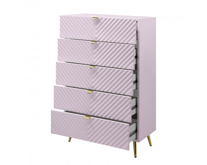 ACME Gaines Chest - Pink High Gloss