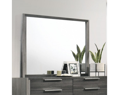 ACME - Casimiro Mirror in Gray