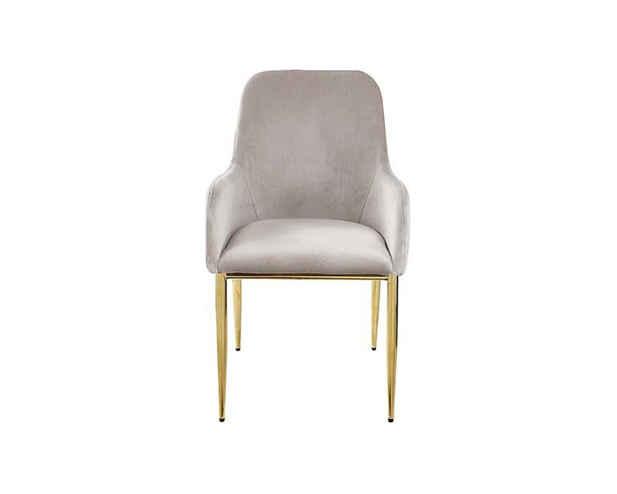 ACME - Barnard Side Chair (Set-2) in Gray/Mirrored Gold