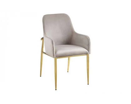 ACME - Barnard Side Chair (Set-2) in Gray/Mirrored Gold