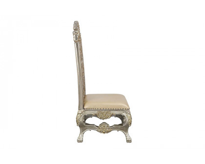 ACME - Danae Side Chair (Set-2) in Champagne/Gold