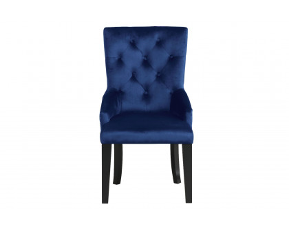 ACME Varian II Side Chair - Navy Velvet/Black/Sliver