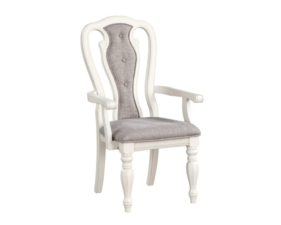 ACME - Florian Arm Chair (Set of 2) in Gray Antique White