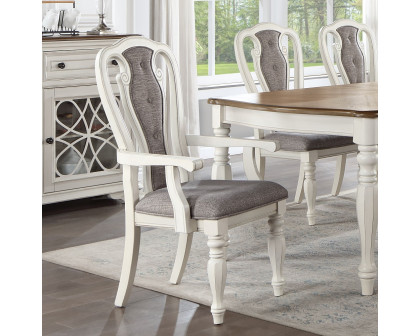 ACME - Florian Arm Chair (Set of 2) in Gray Antique White