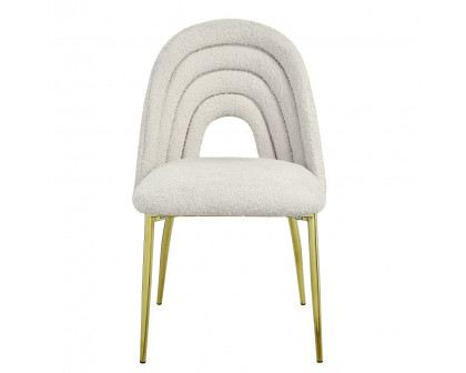 ACME - Fadri Side Chair (Set of 2) in Teddy Sherpa/Mirrored Gold