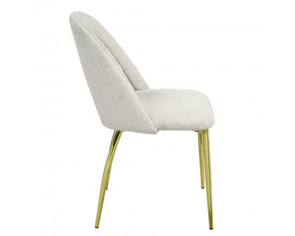 ACME - Fadri Side Chair (Set of 2) in Teddy Sherpa/Mirrored Gold