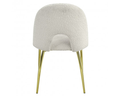 ACME - Fadri Side Chair (Set of 2) in Teddy Sherpa/Mirrored Gold