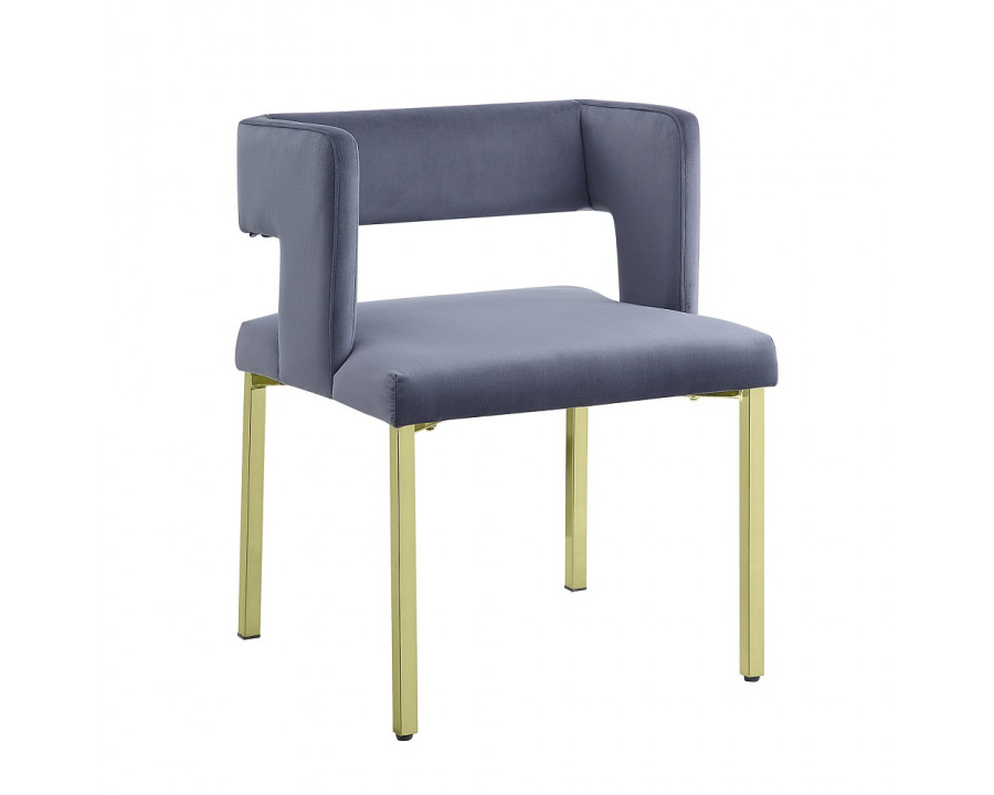 ACME - Zarriah Side Chair (Set of 2) in Gray Velvet/Mirrored Gold