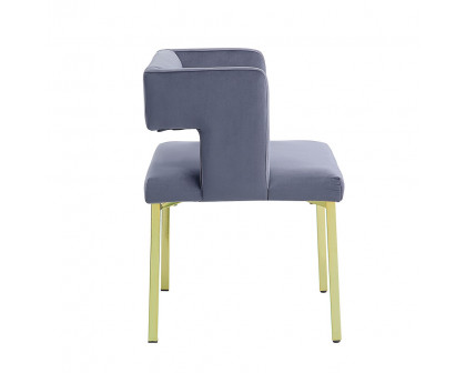 ACME - Zarriah Side Chair (Set of 2) in Gray Velvet/Mirrored Gold