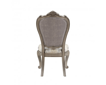 ACME - Ariadne Side Chair (Set of 2) in Velvet/Antique Platinum