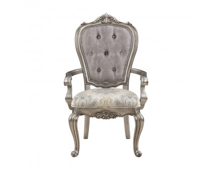 ACME - Ariadne Arm Chair (Set of 2) in Velvet/Antique Platinum