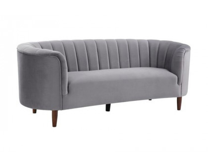 ACME™ Millephri Sofa - Gray