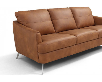 ACME - Safi Sofa in Cappuccino