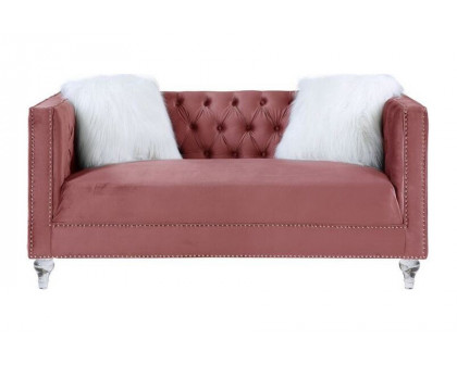 ACME - Heibero II Loveseat with 2 Pillows