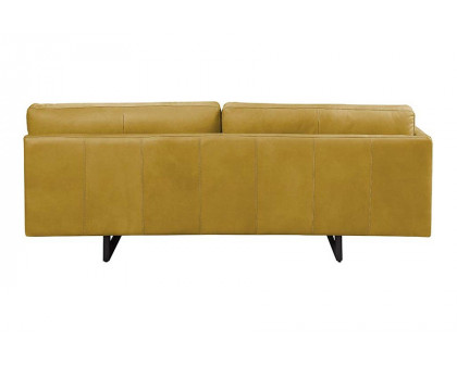 ACME - Radia Sofa with Pillow in Turmeric