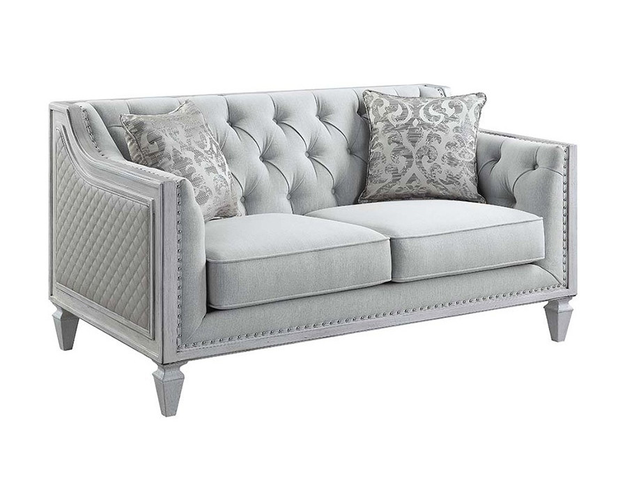 ACME - Katia Loveseat with 2 Pillows in Light Gray/Weathered White