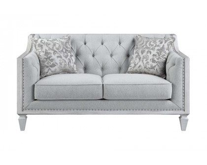 ACME - Katia Loveseat with 2 Pillows in Light Gray/Weathered White