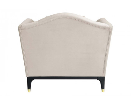 ACME™ Tayden Chair with 2 Pillows - Beige